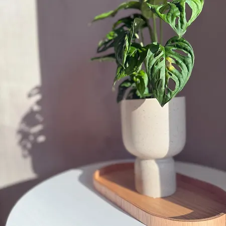 Apartamento Domfreyheit