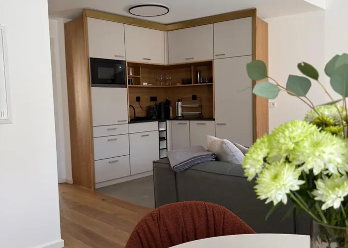 Domfreyheit Naumburg (Saale)